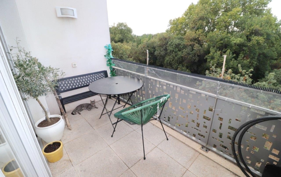 Annonces SAINTCYPRIEN : Appartement | PERPIGNAN (66000) | 58 m2 | 148 000 € 